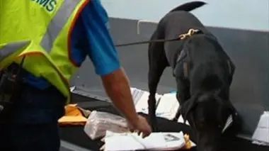 Douanes sous haute surveillance saison 9
