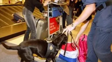 Douanes sous haute surveillance