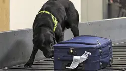 Douanes sous haute surveillance Épisode 20