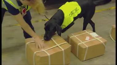 Douanes sous haute surveillance