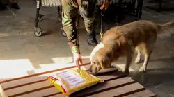 Douanes sous haute surveillance Amérique du Sud Cadeau parfumé