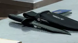 Douanes sous haute surveillance Amérique du Sud Du ménage dans les bagages