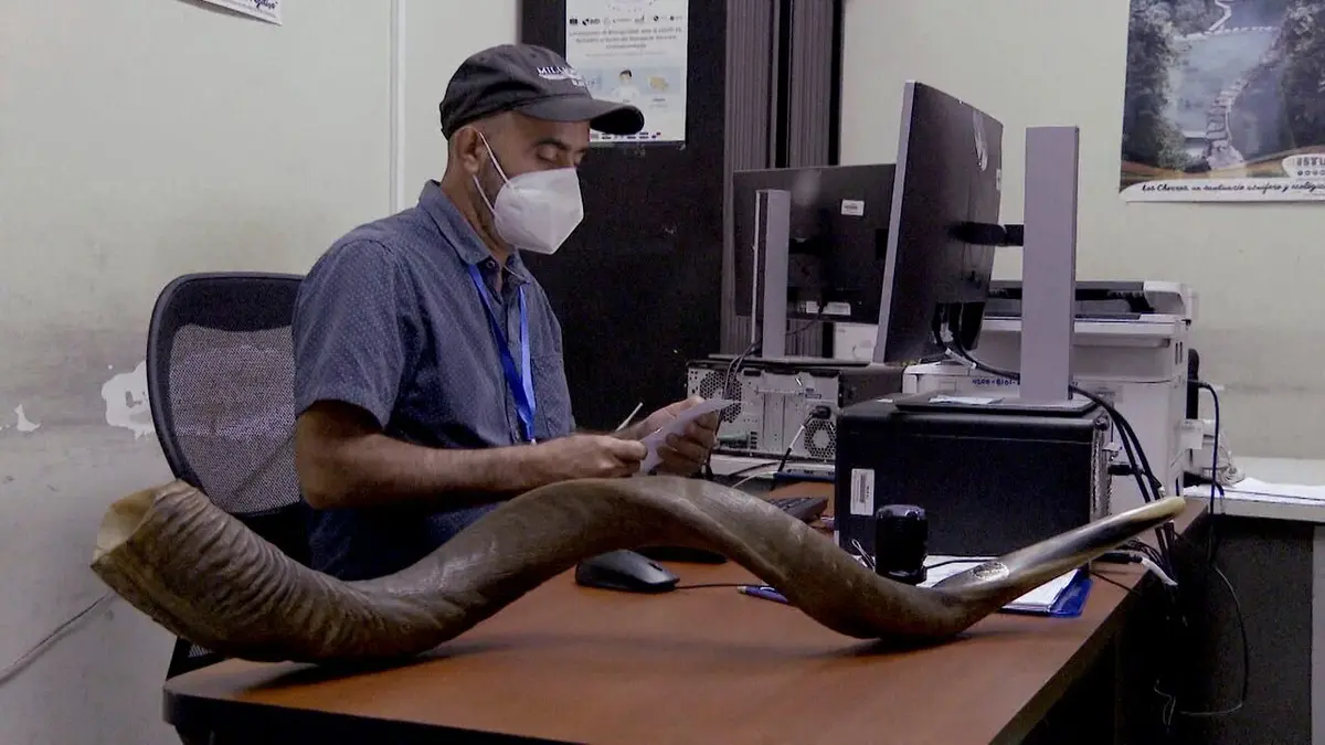 Douanes sous haute surveillance Amérique du Sud Du ménage dans les bagages