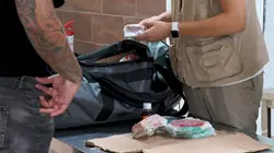 Douanes sous haute surveillance Cuba THC et CBD