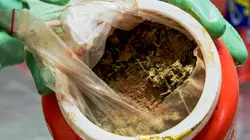 Douanes sous haute surveillance Cuba Chaud cacao