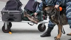 Douanes sous haute surveillance: Etats-Unis