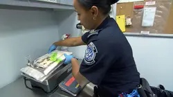 Douanes sous haute surveillance: Etats-Unis