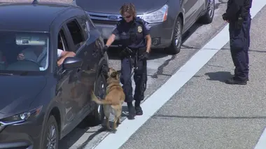 Douanes sous haute surveillance: Etats-Unis