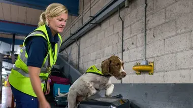 Douanes sous haute surveillance : Irlande