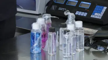 Un supporter trop enthousiaste