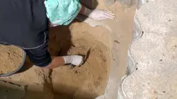 Double meurtre en Basse-Saxe