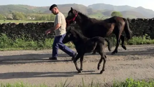 Douces France(s) E05 L'Aquitaine