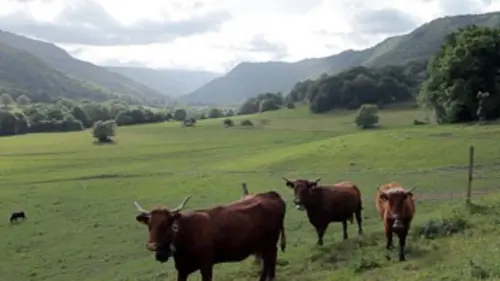 Douces France(s) E04 En Auvergne