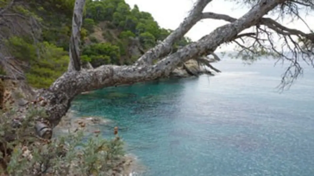 Douces France(s) E01 En Provence-Alpes-Côte-d'Azur