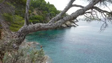 En Provence-Alpes-Côte-d'Azur