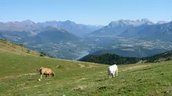 Douces France(s), côté nature En altitude