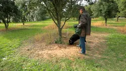 Douces France(s), côté nature