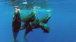 Douces France(s), côté nature