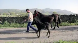 Douces France(s), côté nature
