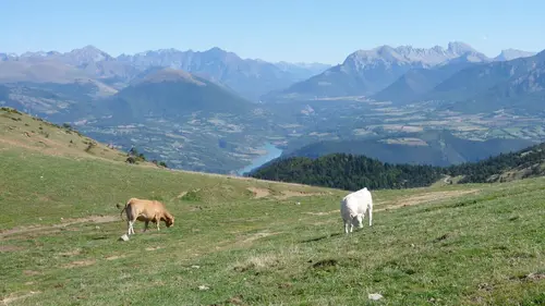 Douces France(s), côté nature En altitude