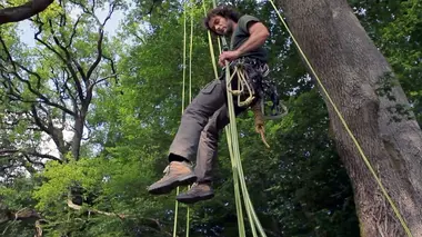 Au cœur du végétal