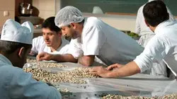 Visuel de Douceurs d'Orient