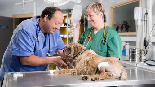 Dr Cath & Co Saison 1 / Épisode 4