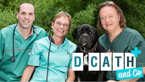 Dr Cath & Co