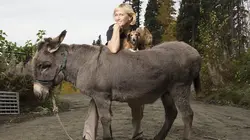 Dr Dee, Véto en Alaska Opération Pégase