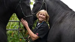 Dr Dee, Véto en Alaska Imprégné et bloqué