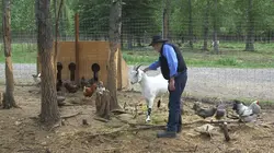 Dr Dee, Véto en Alaska