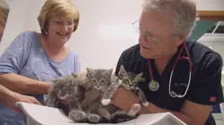 Dr Dee, Véto en Alaska