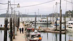 Dr Dee, Véto en Alaska