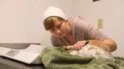 Dr Dee, Véto en Alaska