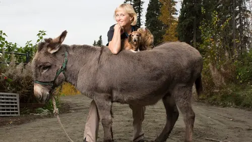 Dr Dee, Véto en Alaska Opération Pégase