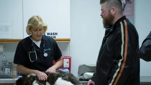 Dr Dee, Véto en Alaska Le FIV en streaming