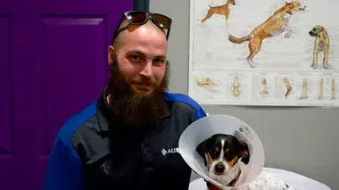 Le nouveau papa du chaton sphinx