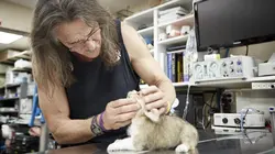 Dr Jeff : super véto À tout prix