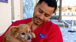 Dr Jeff : super véto Neuf vies