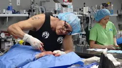 Dr Jeff : super véto Moment décisif