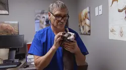 Dr Jeff : super véto A fond la caisse