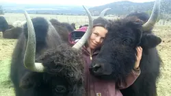 Dr Jeff : super véto Sur le fil