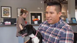 Dr Jeff : super véto Recoller les morceaux