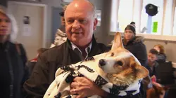 Dr Jeff : super véto À l'abri de la tempête