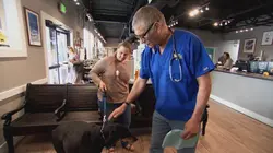 Dr Jeff : super véto Le chant du cacatoès