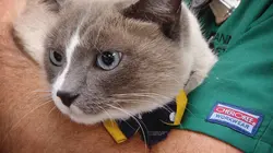 Dr Jeff : super véto Rentrer à la maison