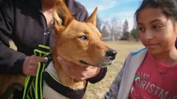 Dr Jeff : super véto Sauvez Bear