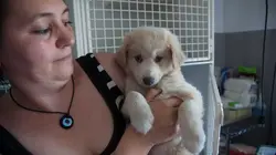 Dr Jeff : super véto Loin de chez soi