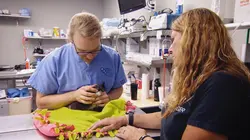 Dr Jeff : super véto Âme sœur miniature