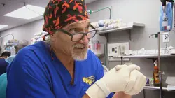 Dr Jeff : super véto